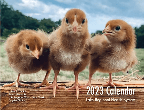 FREE Lake Regional 2023 Wall Calendar - Hunt4Freebies